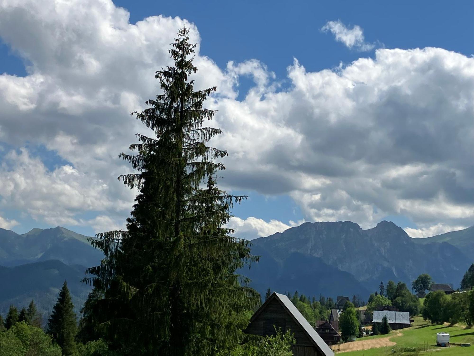 Mala Bawaria Hotel Zakopane Exterior photo