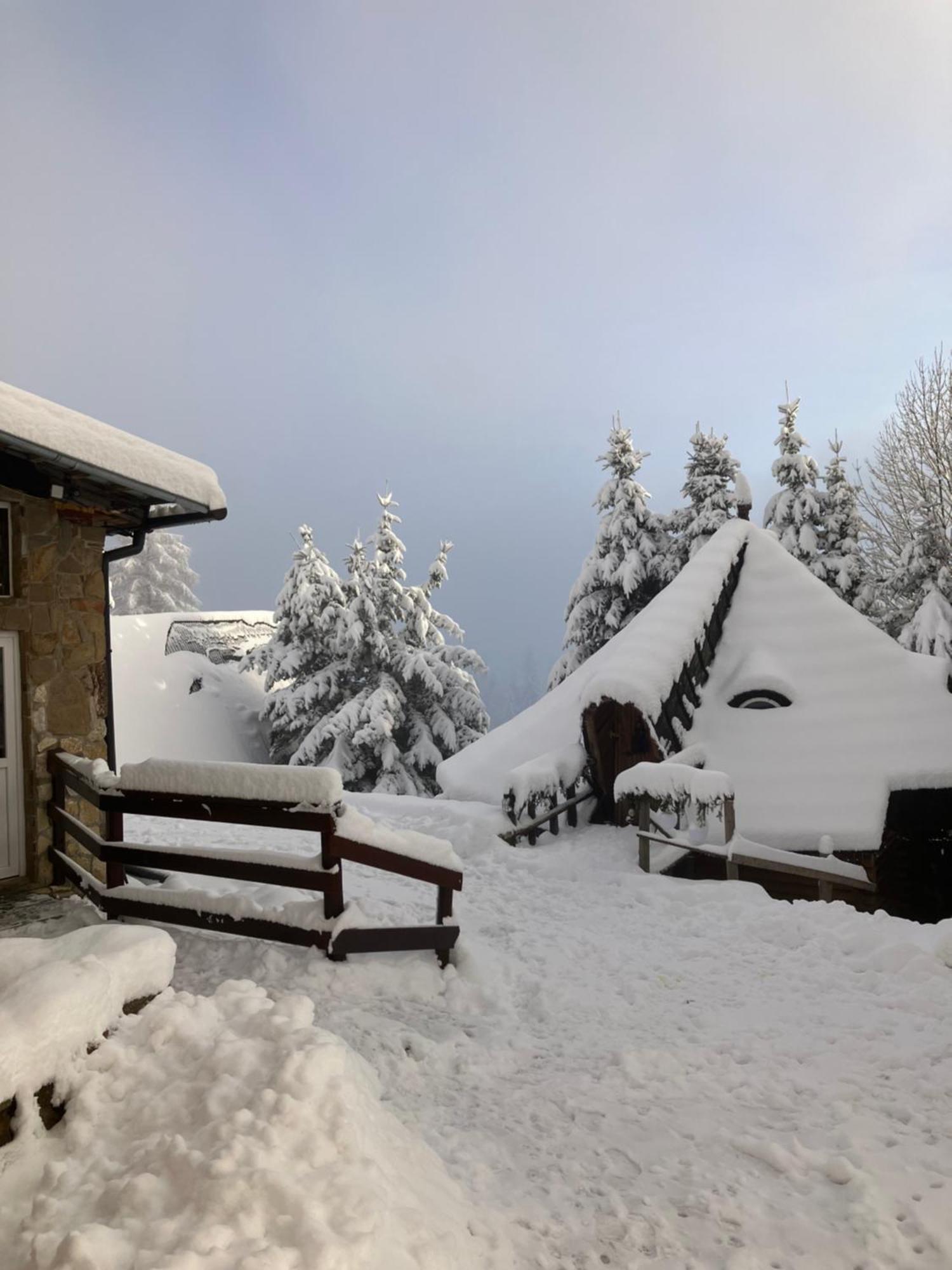 Mala Bawaria Hotel Zakopane Exterior photo
