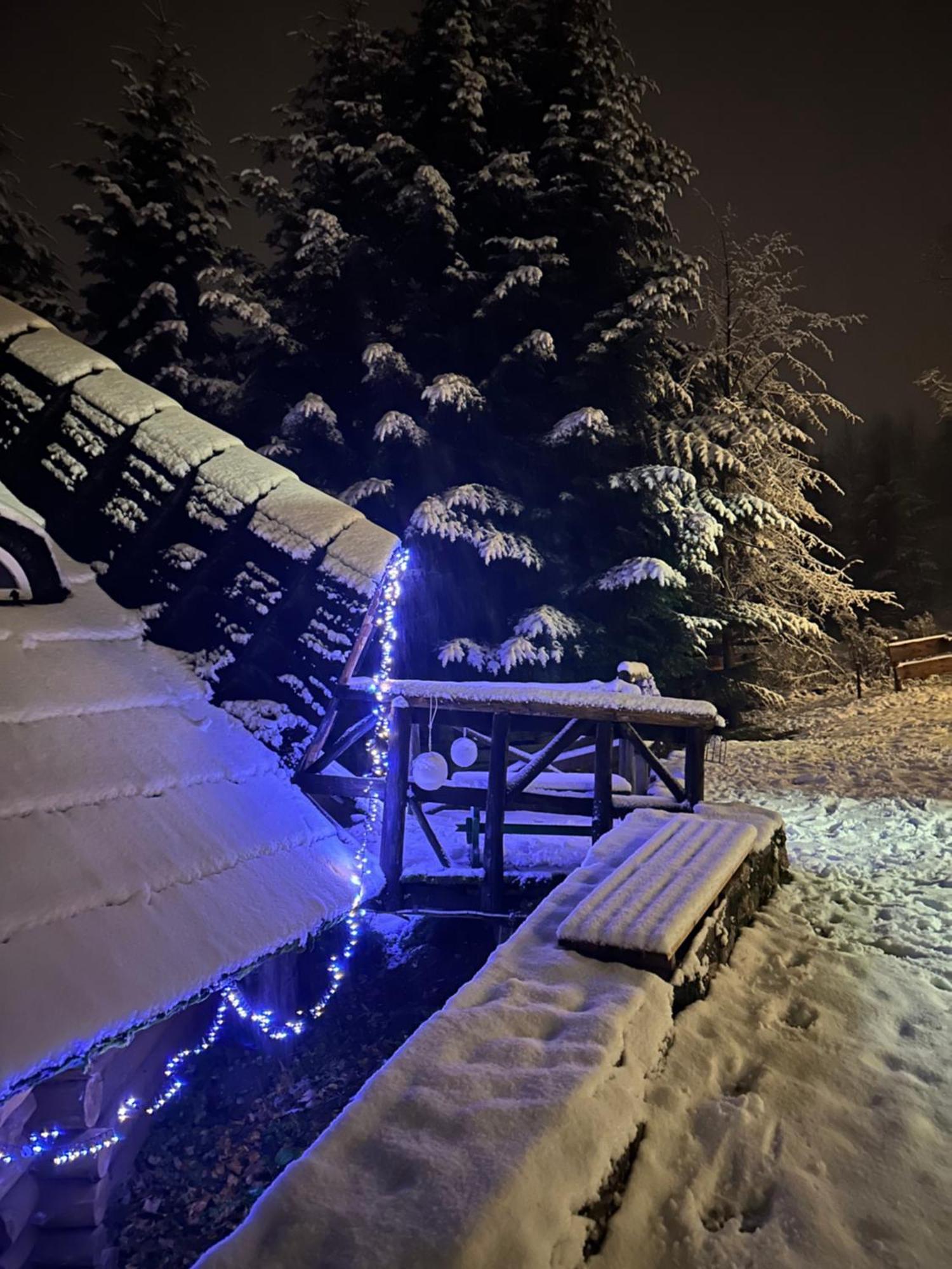 Mala Bawaria Hotel Zakopane Exterior photo